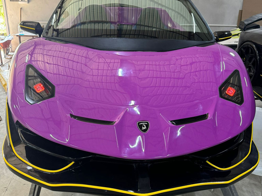 mudo_lambo6